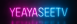 watermark logo